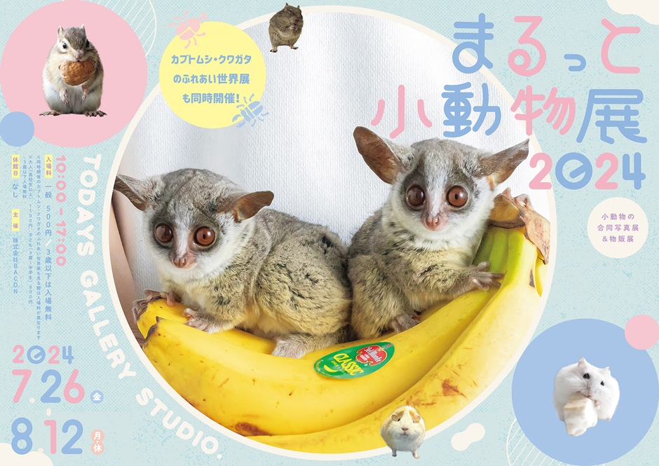 まるっと小動物展 2024　キービジュアル(横)