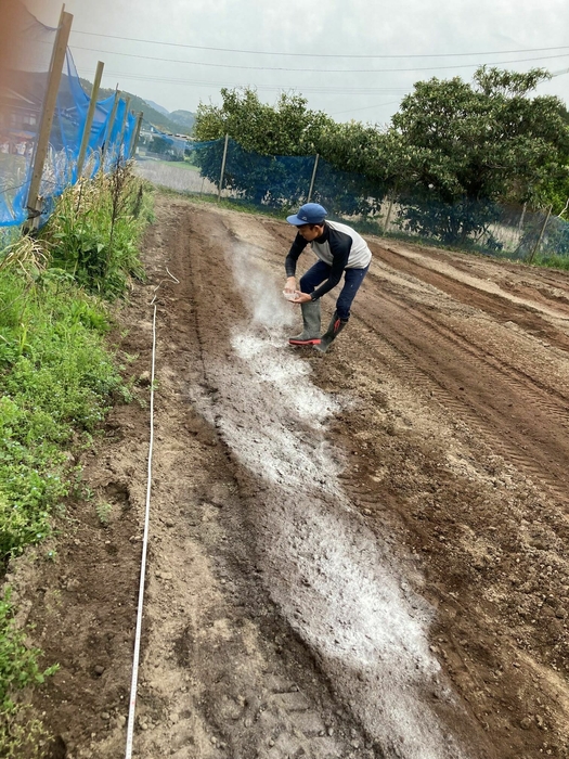 オリジンジオ(R)使用の様子