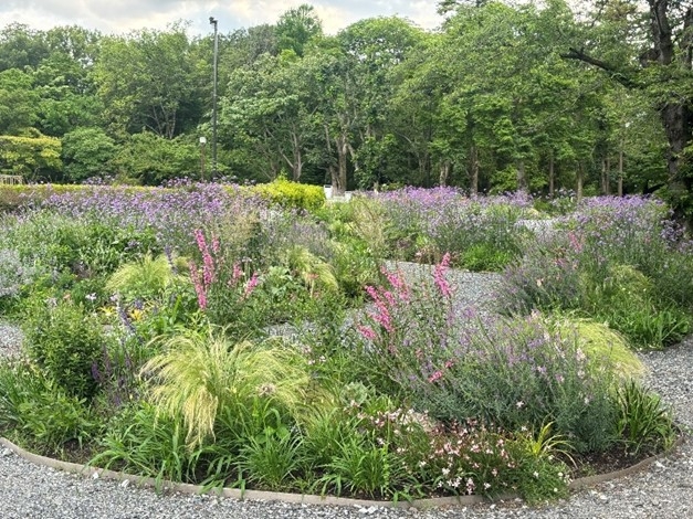  神代植物公園「市民協働ガーデン」の様子