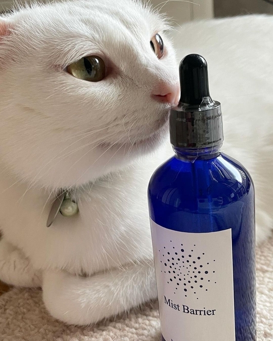 kanapu10様(@kanapu10)