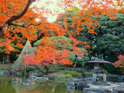 当園の紅葉は色鮮やかです