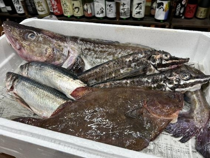 鱈(たら)　鰊(にしん)　八角(はっかく)　鰈(かれい)