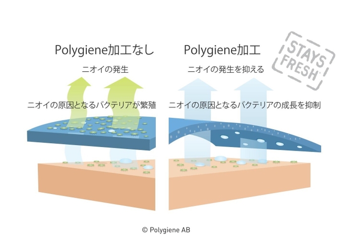 ポリジン加工による効果