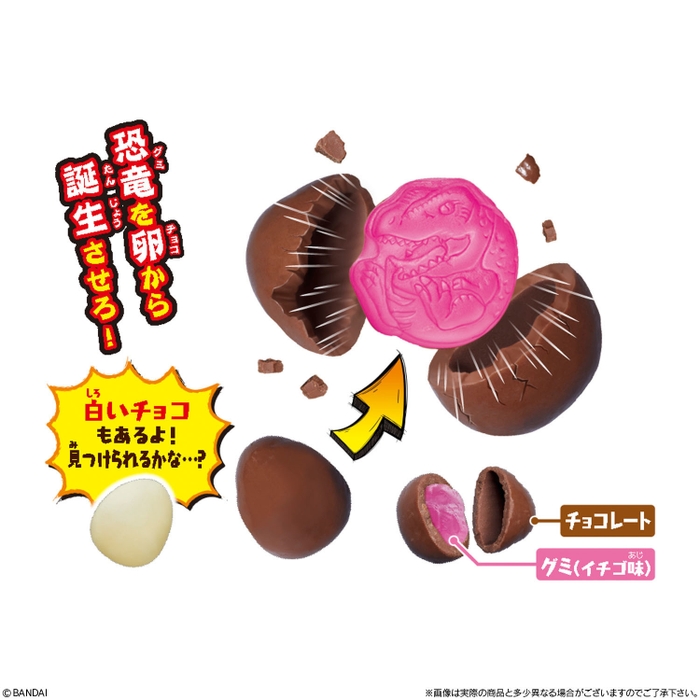 モグッと誕生!恐竜エッグチョコ(3)