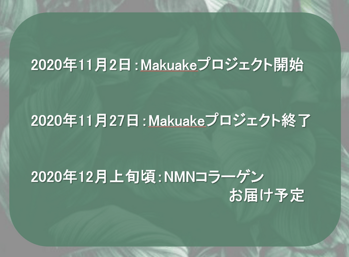 プロジェクトスケジュール