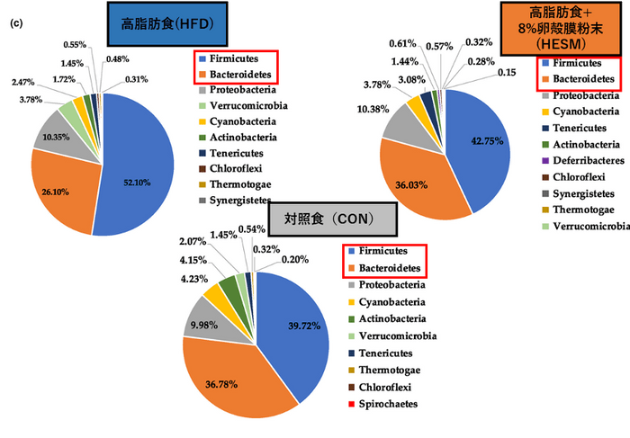 卵殻膜接種による腸内細菌叢の変化 2