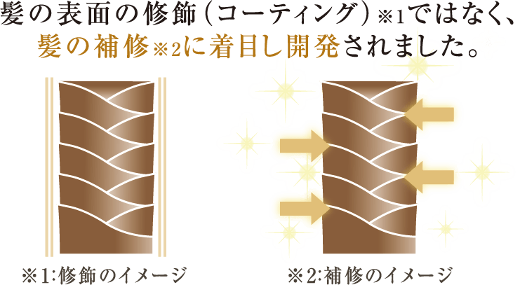 髪の補修_イメージ