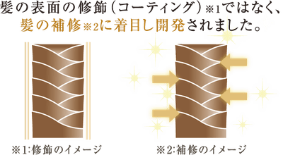髪の補修_イメージ