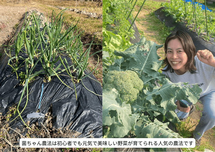 菌ちゃん農法であれば野菜作りの過程が山の整備にもなるため、獣害対策にも繋がります。