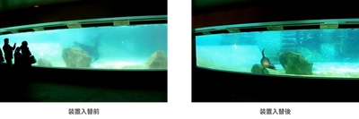 コーヒーの脱色からアシカプールの水質改善、除草剤の分解まで　 オゾンに特化した研究室「オゾンラボ」 失敗例含むリアルな実証実験データ200件を公開