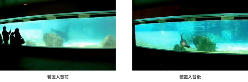 コーヒーの脱色からアシカプールの水質改善、除草剤の分解まで　 オゾンに特化した研究室「オゾンラボ」 失敗例含むリアルな実証実験データ200件を公開