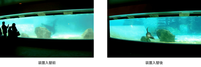 アシカ池の水質改善