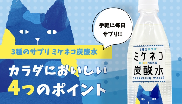 体においしい4つのポイント
