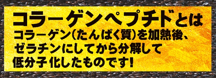 コラーゲンペプチドは吸収が早い！