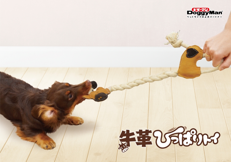 牛革ひっぱりトイ 使用イメージ