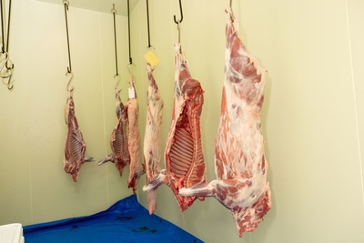 猪鹿ジビエでフレンチ料理教室!in足助 お肉土産付き 6