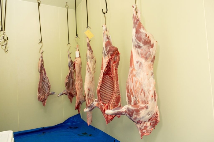 猪鹿ジビエでフレンチ料理教室!in足助 お肉土産付き 6