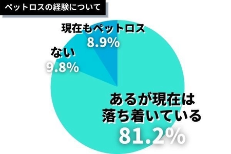 愛犬・愛猫と共に過ごした思い出を形に残す、 ペット服専用額「ペットメモリアル専用フレーム」販売開始