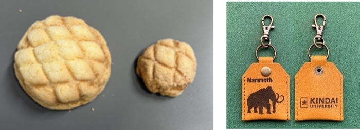 近大ICTメロンパン ※試食はミニサイズでの提供となります。(左) マンモスプロジェクトのマンモスエアタグホルダー(右)