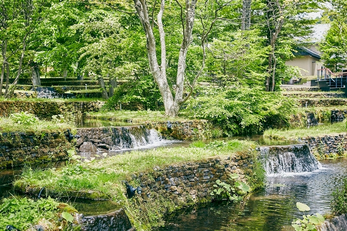 【星のや軽井沢】棚田