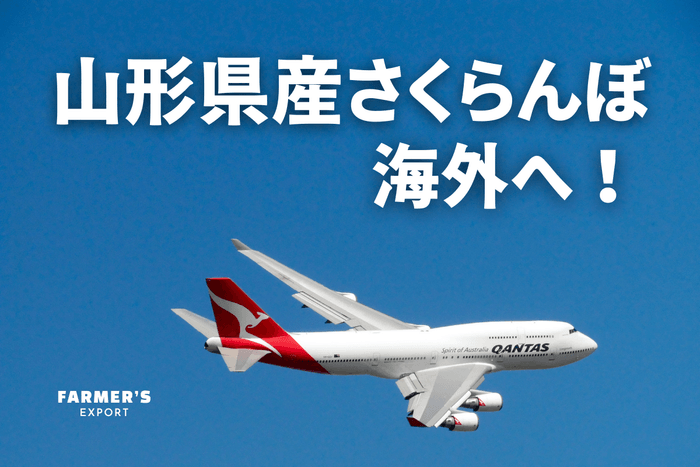 FARMER'S EXPORT 山形県産さくらんぼ 海外へ