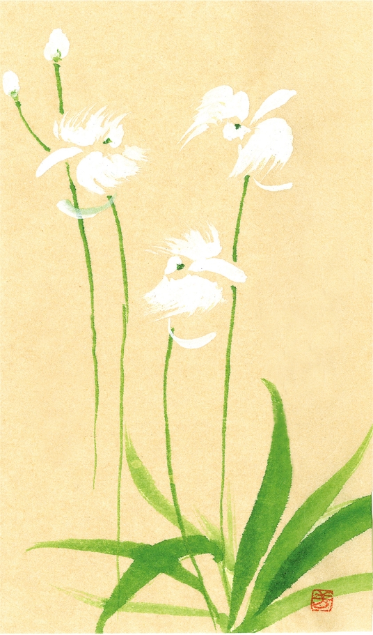 『行く道に花の咲かない道はなく』66頁 俳句は67頁