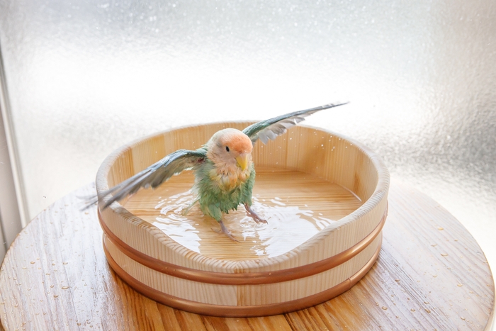 使用イメージ・水浴び