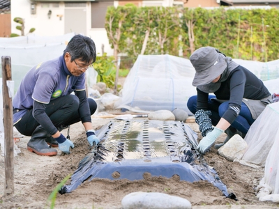 体験農園マイファームでの様子