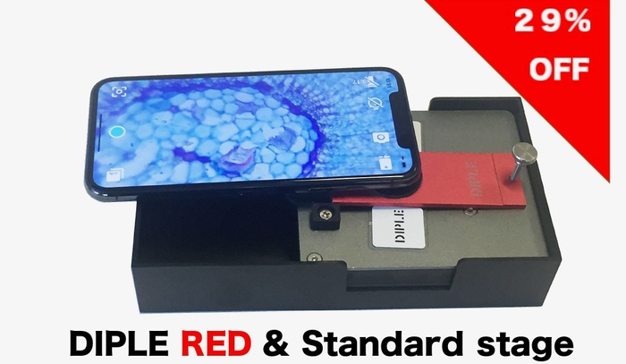 RED29%割引