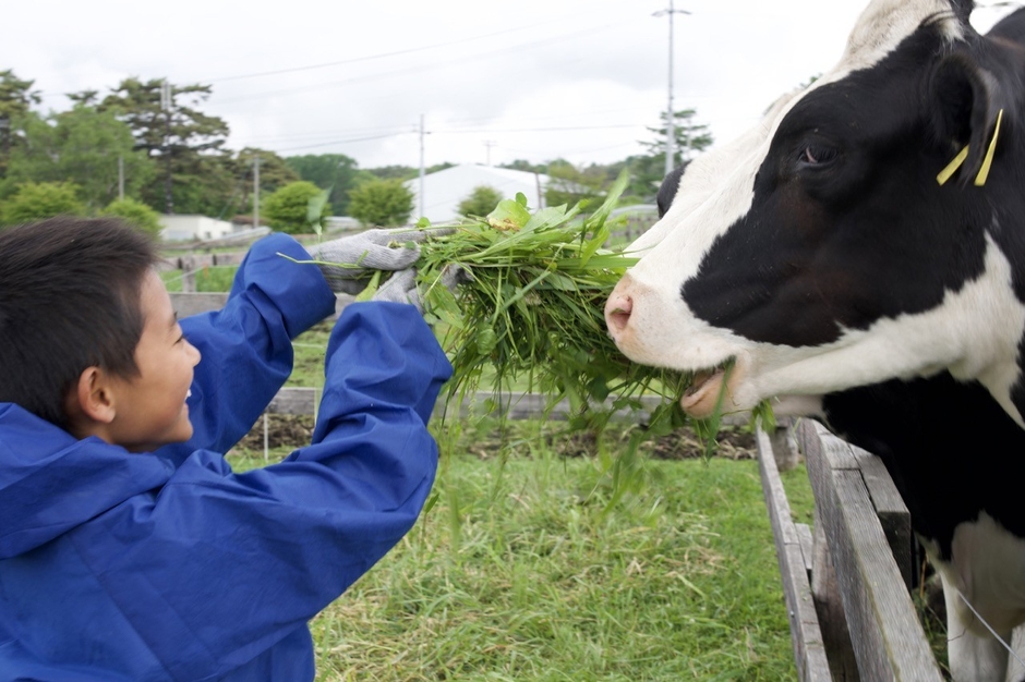 酪農や野菜収穫体験など体験型アクティビティが満載!