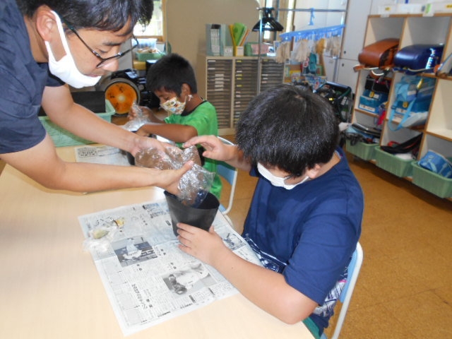 サトウキビの苗の植付体験