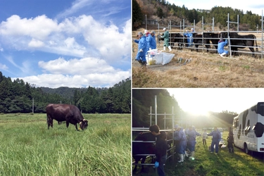 帰還困難区域の牛たち ～被ばく牛と生きる～　 東京大学弥生講堂にて5月28日(土)に公開シンポジウムを開催