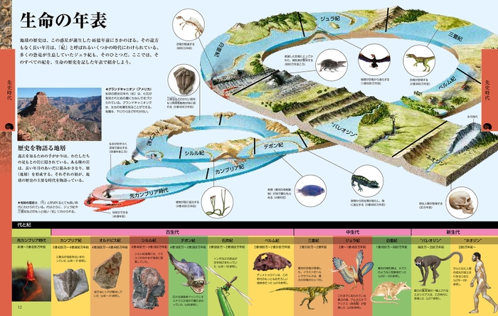 『ビジュアル 恐竜大図鑑』中面