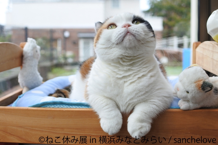展示作品8