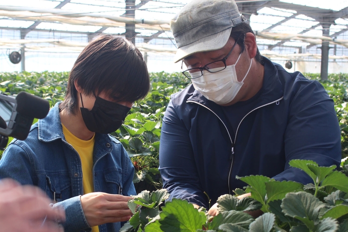 「鈴木いちご農園」にて1