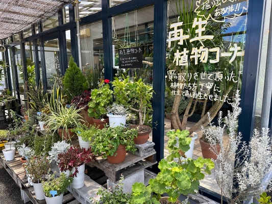 厚木から日本初！持続可能な循環型園芸店「らくうぇる」 温暖化問題、高齢化の波、問題だらけのこの世界、 枯れ木に花を咲かせよう「花咲か爺さん」サービス開始！