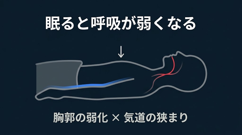 医学が言わない──多くの人は眠りながら体を衰弱させているという"深刻な構造" 睡眠中に呼吸の質が低下する因果を、体の構造から明らかにする。シリーズ第1回