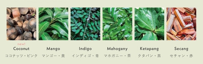 バリ島の植物