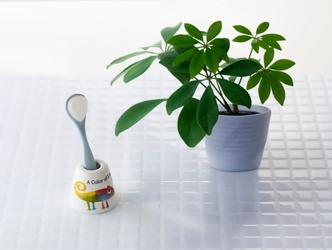 新学期から、新しい口腔ケア習慣を！ 将来の健康につながる、 子供の舌の成長についても考えてみませんか？ 小学校の6年間は舌の発達において最も重要な時期