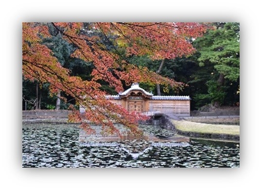 ポストカード（イメージ）