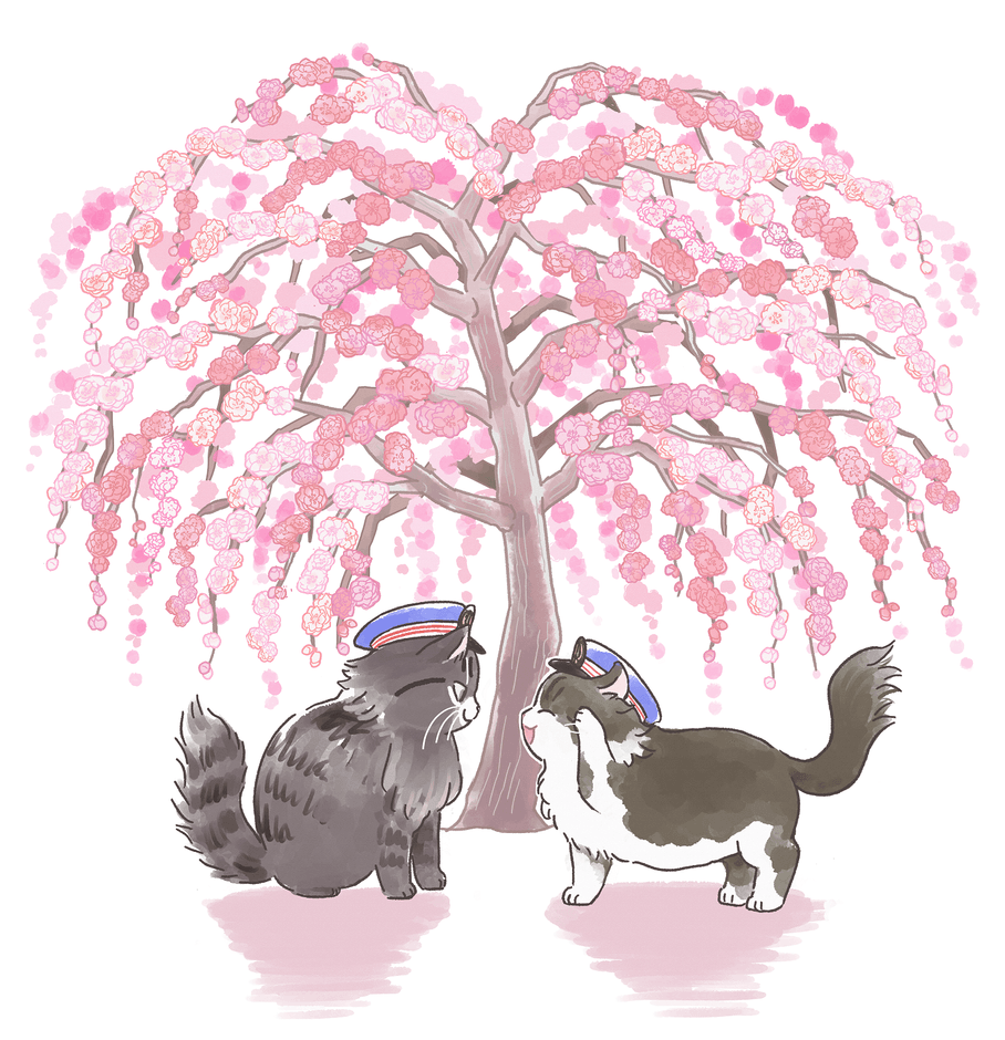 メインビジュアル bus&love