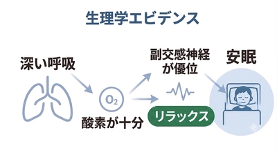睡眠呼吸研究者発──不眠症の原因は“浅い呼吸”だった。交感神経が高まり、眠りが浅くなるから。