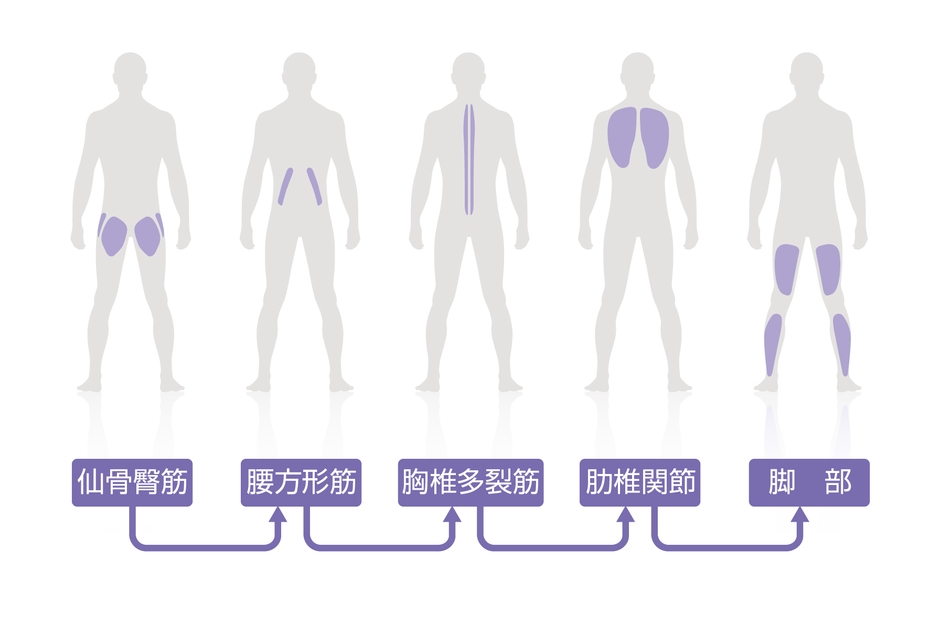メディカルモード マッサージ箇所