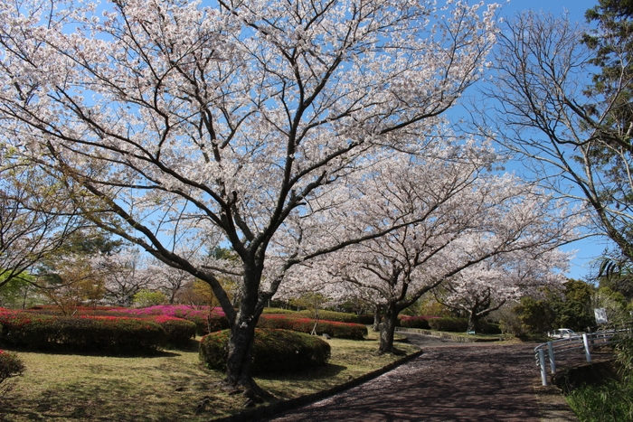 鴻ノ巣公園内　ⓒ波佐見町