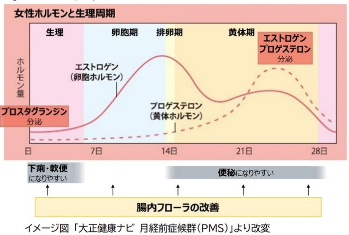 女性ホルモンと生理周期