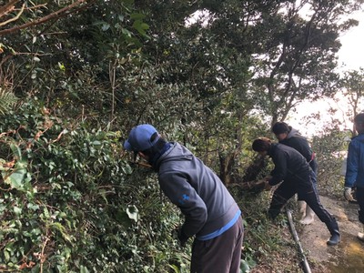環境美化活動