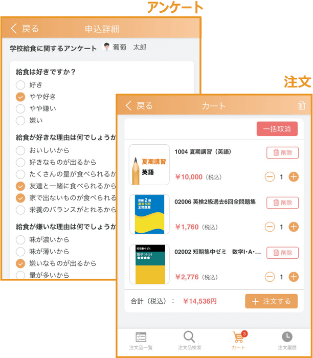 システム画面(2枚)