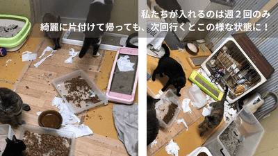不衛生な部屋の現実