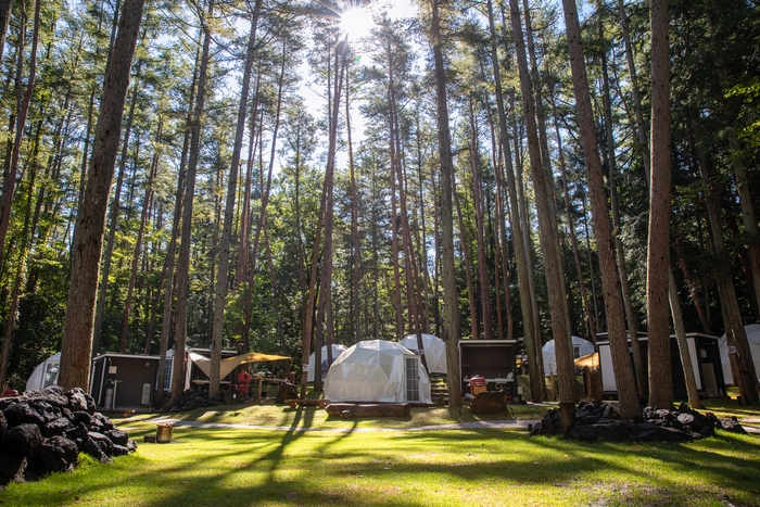 森林に囲まれたドームテント パオ