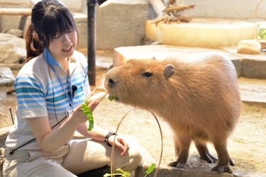 生きものたちの無病息災を願って、 「春の七草エンリッチメント」を開催。